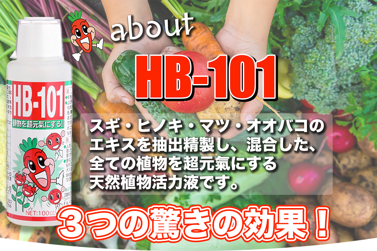 コンテンツ画像02